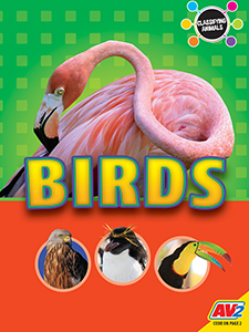 Cover Art for Birds