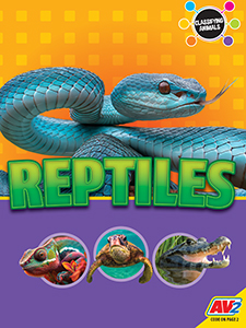 Cover Art for Reptiles