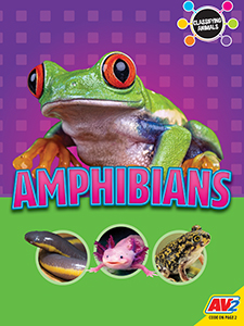 Cover Art for Amphibians