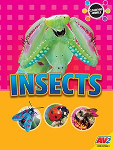 Cover Art for Insects
