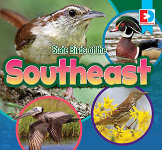 Cover Art for State Birds of the Southeast
