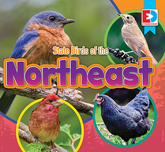 Cover Art for State Birds of the Northeast