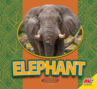 Cover Art for Elephant